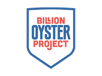 billion oyster project