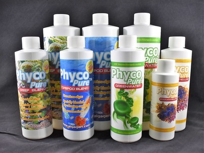PhycoPure Foods